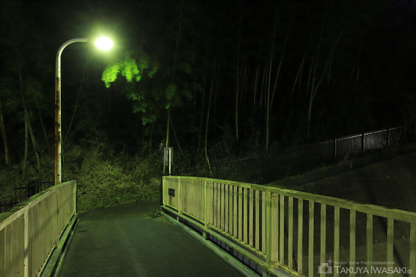 東生田緑地の夜景スポット写真（5）