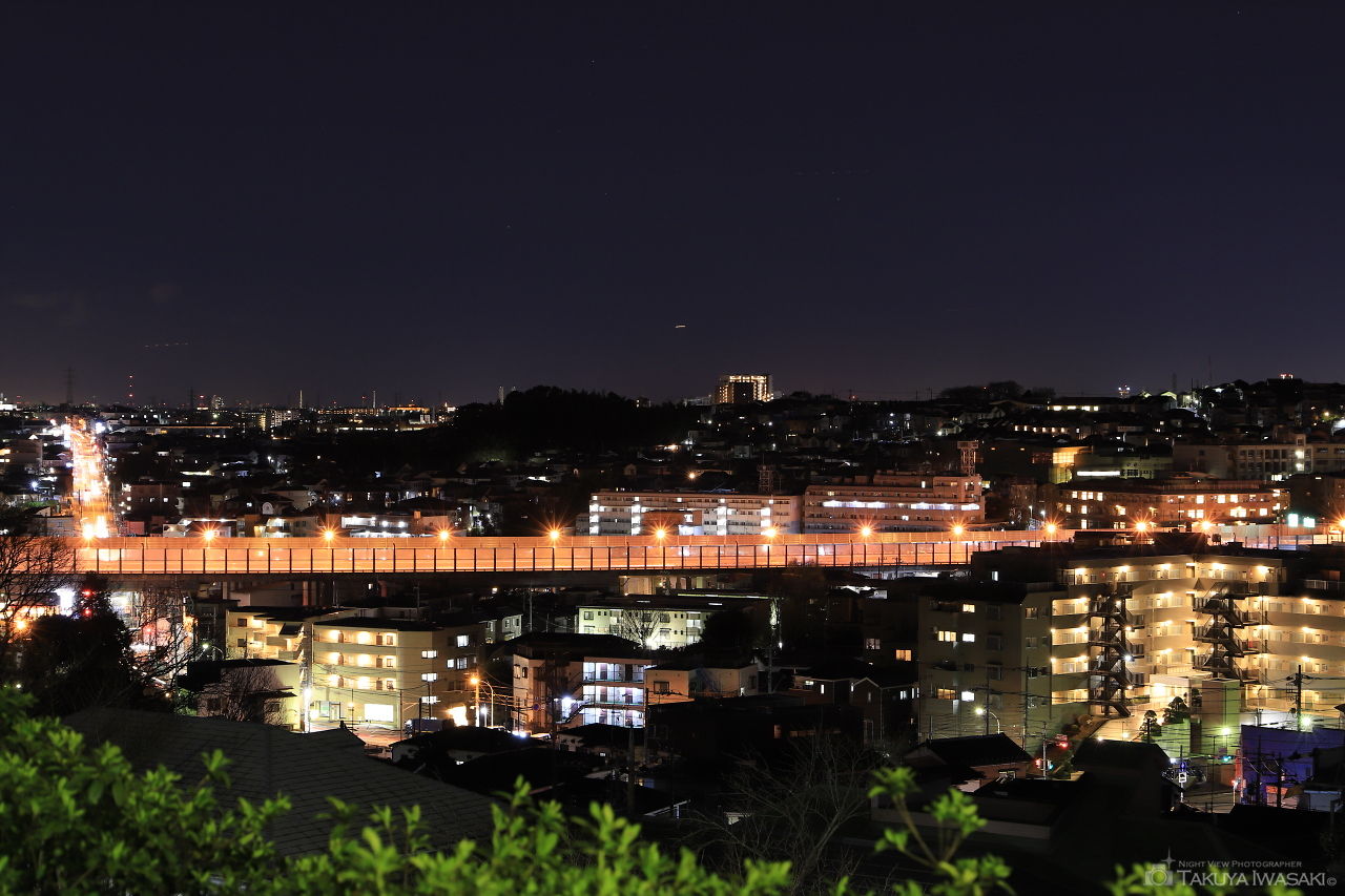 神木本町緑地の夜景スポット写真（2）