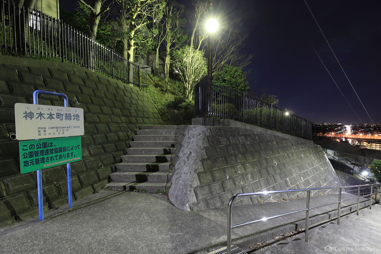 神木本町緑地の夜景スポット写真（4）