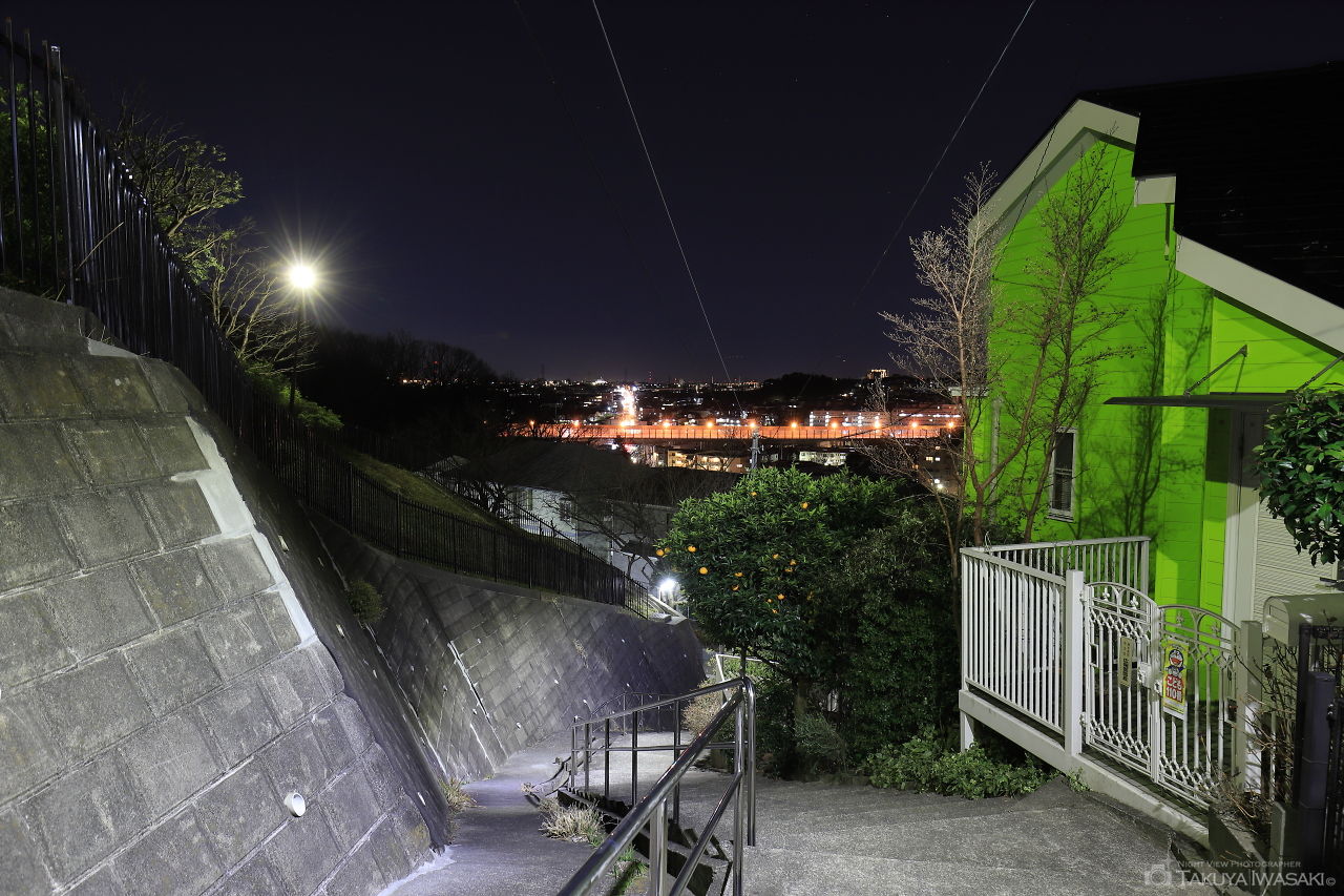 神木本町緑地の夜景スポット写真（5）