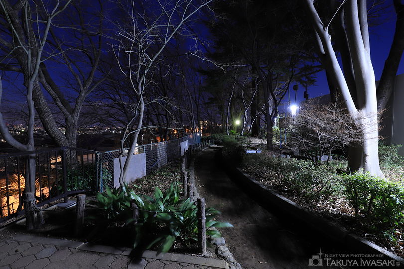 鷺沼北公園の夜景スポット写真（4）