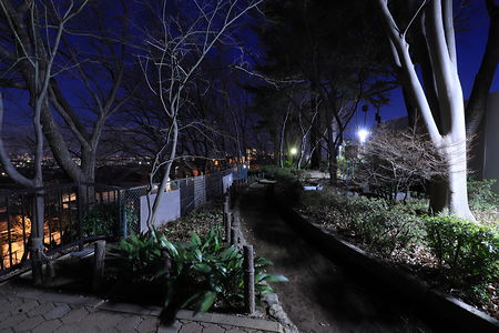 鷺沼北公園の夜景スポット写真（4）class=