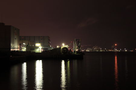 水江町公園の夜景スポット写真（1）class=