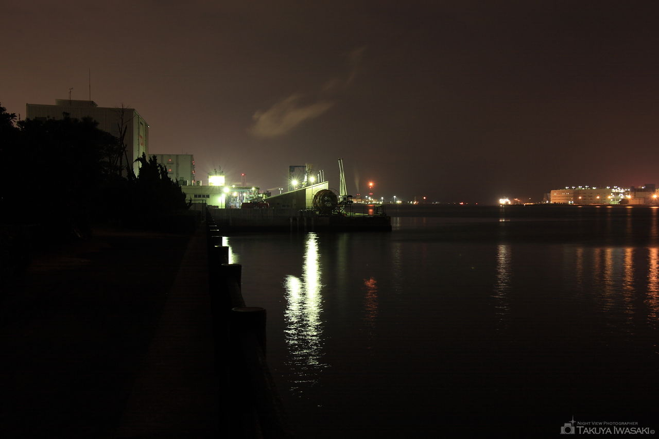 水江町公園の夜景スポット写真（4）