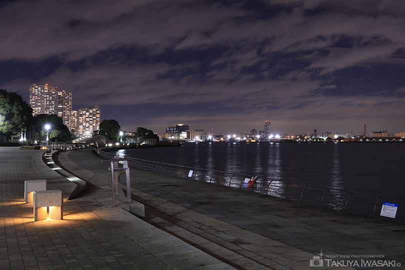 臨港パークの夜景スポット写真（3）