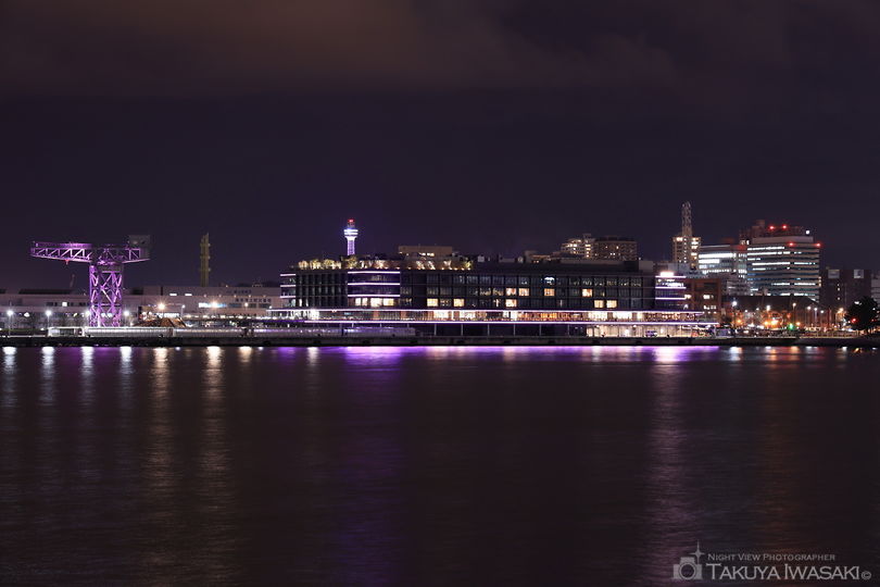 臨港パークの夜景スポット写真（5）