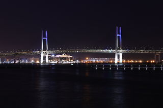 大桟橋 国際線客船ターミナルの夜景スポット写真（4）class=