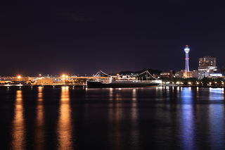 大桟橋 国際線客船ターミナルの夜景スポット写真（5）class=