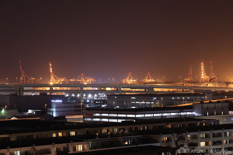 港の見える丘公園の夜景スポット写真（4）