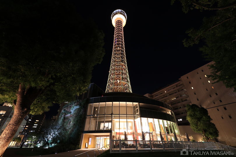 横浜マリンタワーの夜景スポット写真（6）