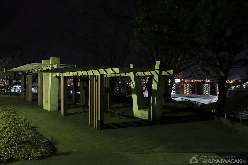子安台公園の夜景スポット写真（3）