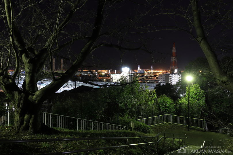 子安台公園の夜景スポット写真（6）
