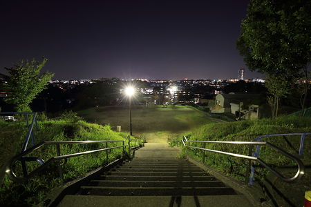 階段から夜景を眺める