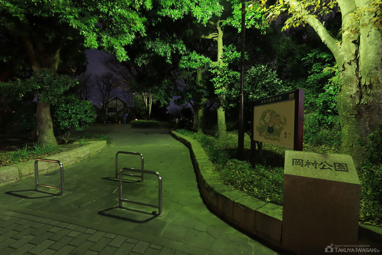 岡村公園前の夜景スポット写真（4）
