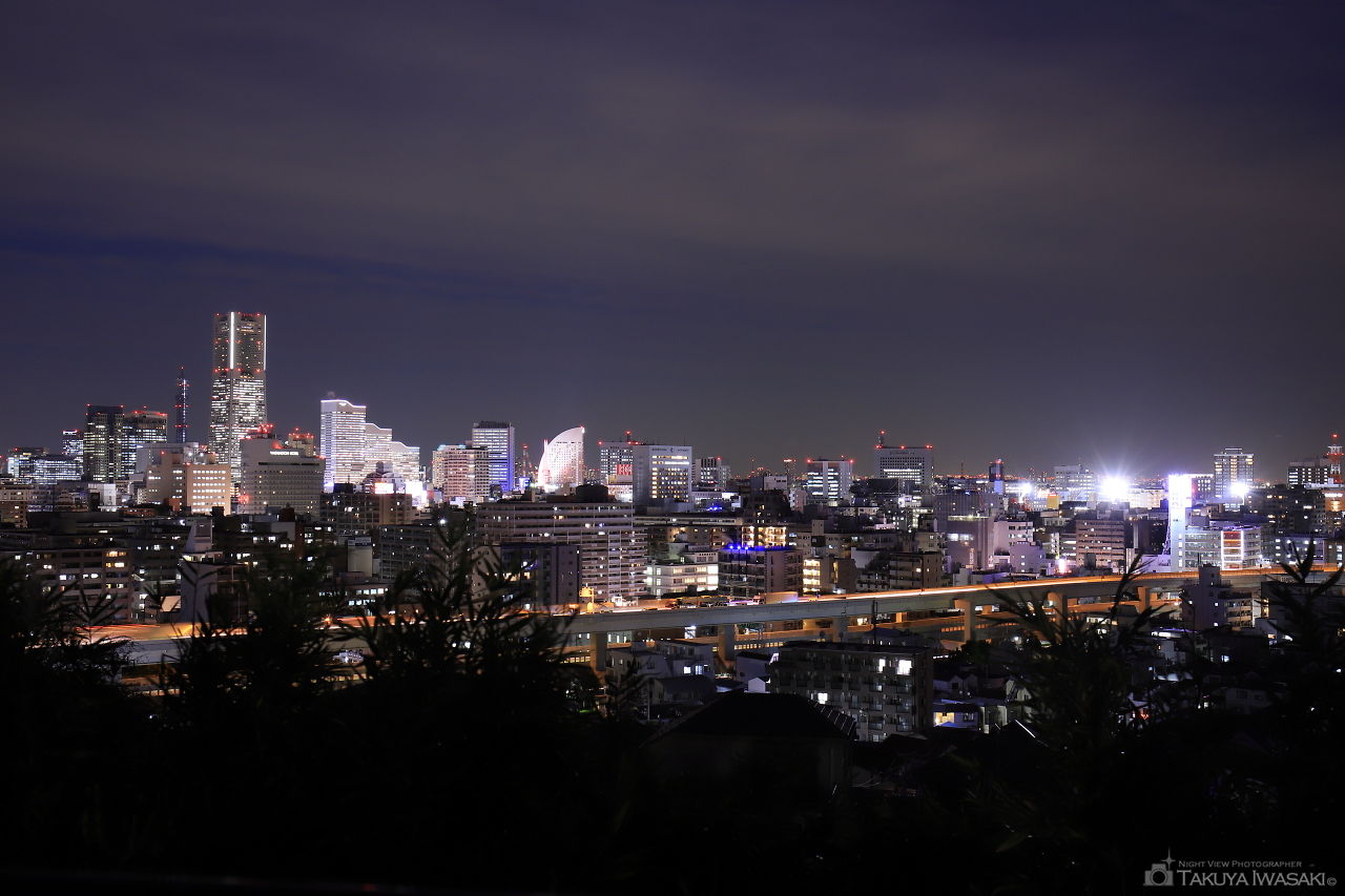唐沢公園の夜景スポット写真（1）