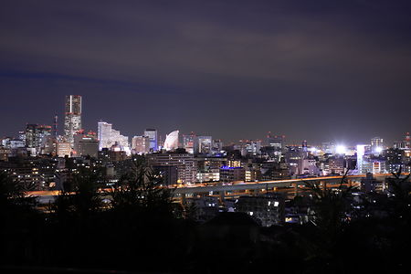 唐沢公園の夜景スポット写真（1）class=