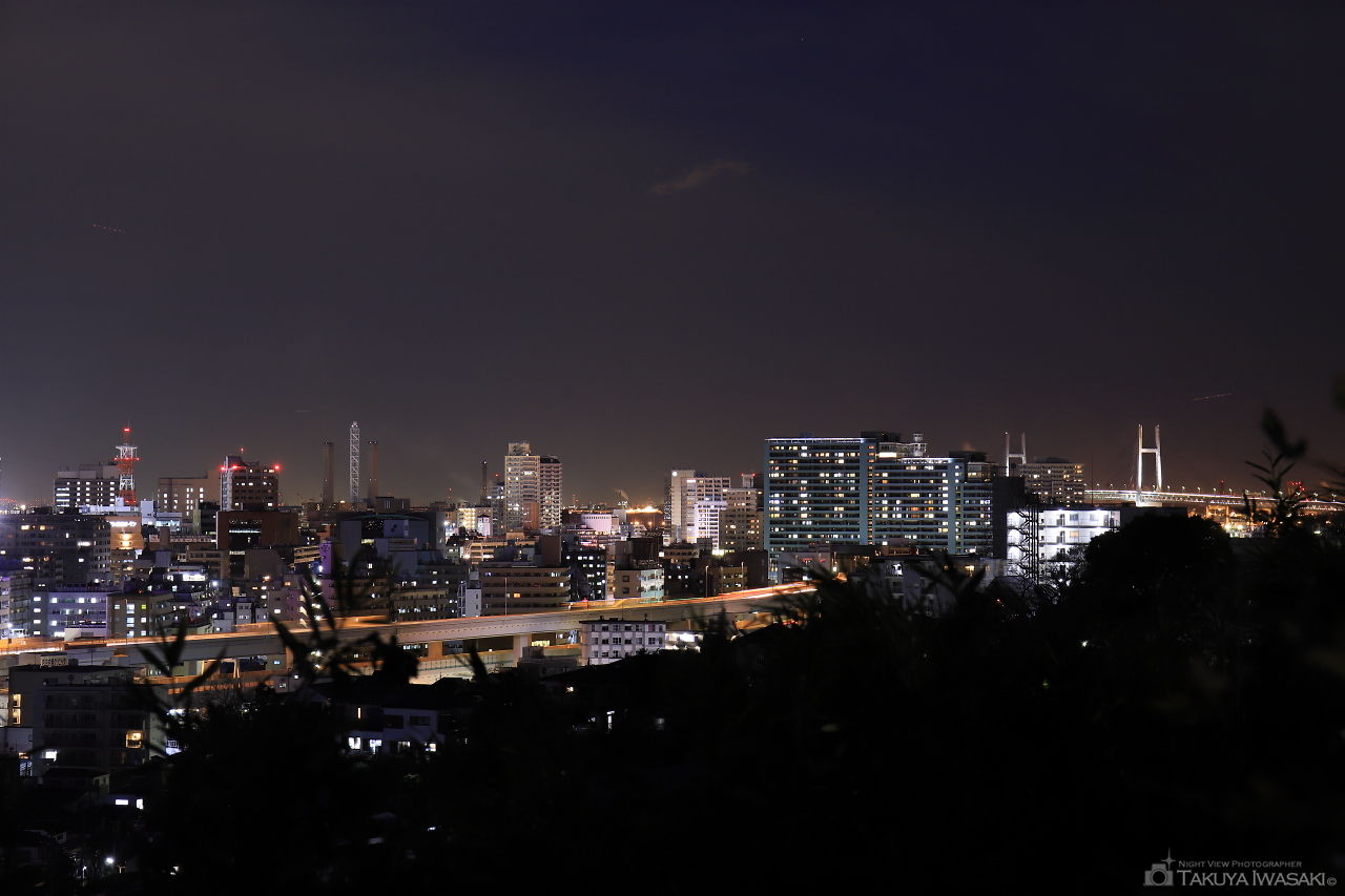 唐沢公園の夜景スポット写真（3）
