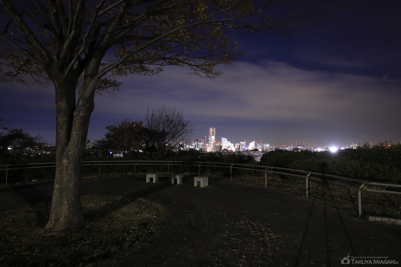 唐沢公園の夜景スポット写真（4）