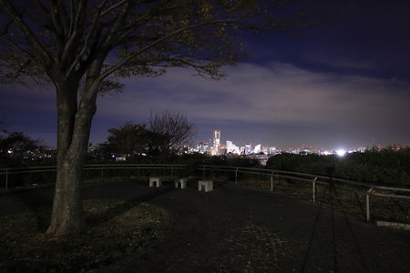 唐沢公園の夜景スポット写真（4）class=