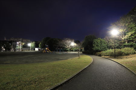 唐沢公園の夜景スポット写真（5）class=