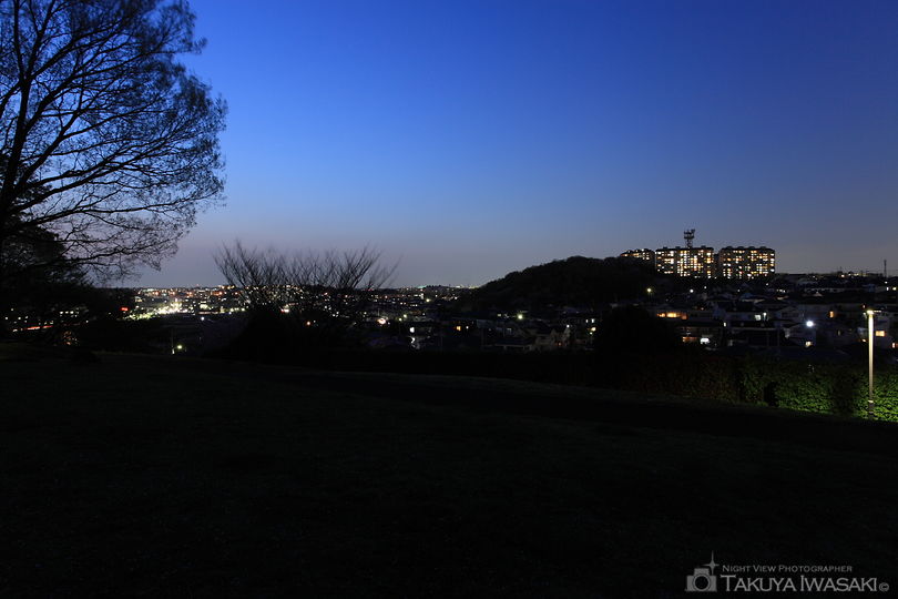 中川八幡山公園の夜景スポット写真（2）