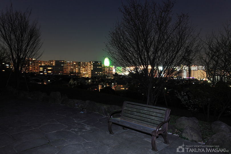 中川八幡山公園の夜景スポット写真（4）