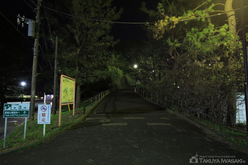 野島公園の夜景スポット写真（6）