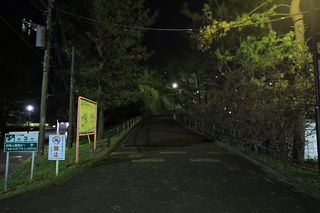 野島公園の夜景スポット写真（6）class=