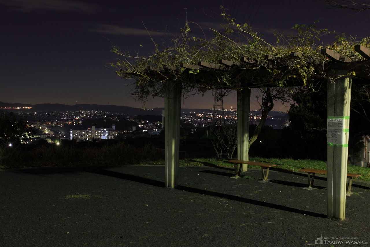 ひまわり公園の夜景スポット写真（3）
