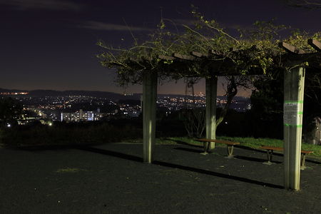 ひまわり公園の夜景スポット写真（3）class=