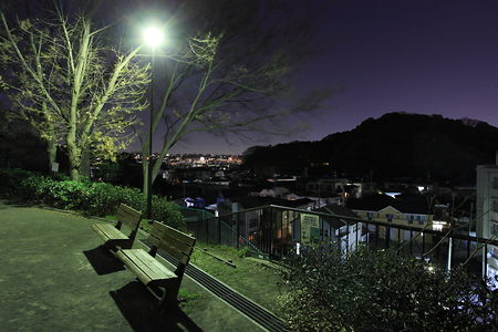 夜の公園とベンチ
