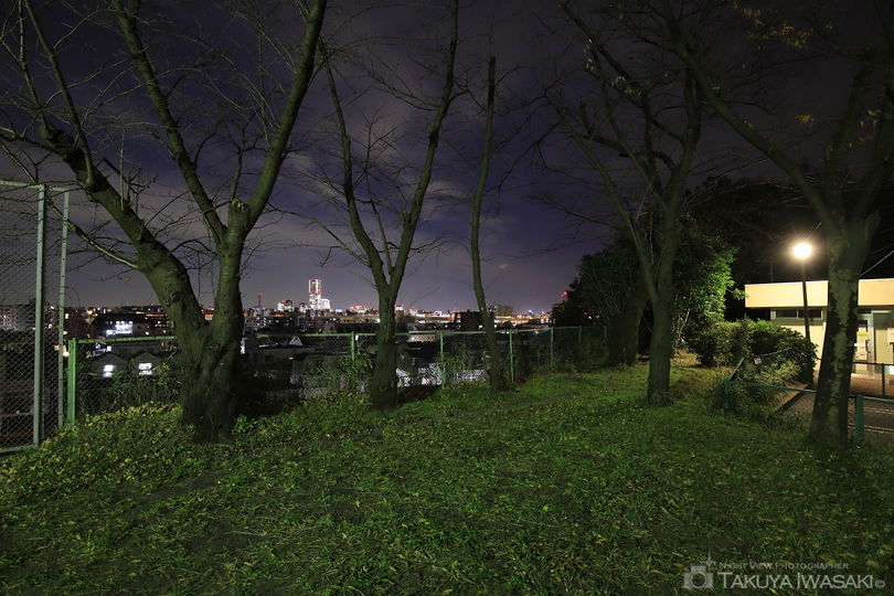 蒔田伊勢山公園の夜景スポット写真（3）