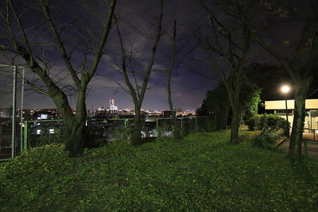 蒔田伊勢山公園の夜景スポット写真（3）class=