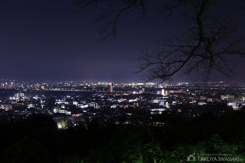 呉羽山公園 桜の広場展望台の夜景スポット写真（2）