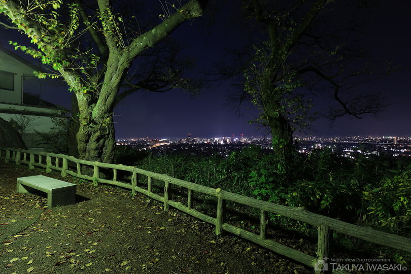 呉羽山公園 桜の広場展望台の夜景スポット写真（3）