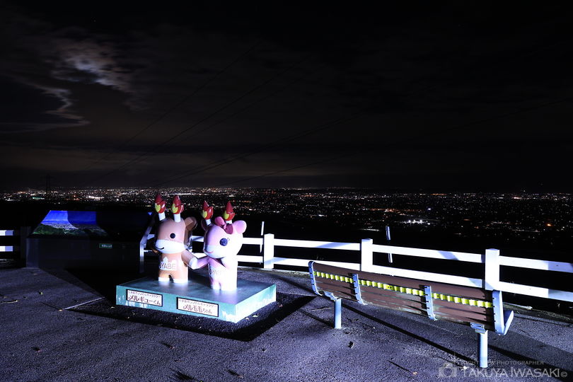 稲葉山　展望広場の夜景スポット写真（2）