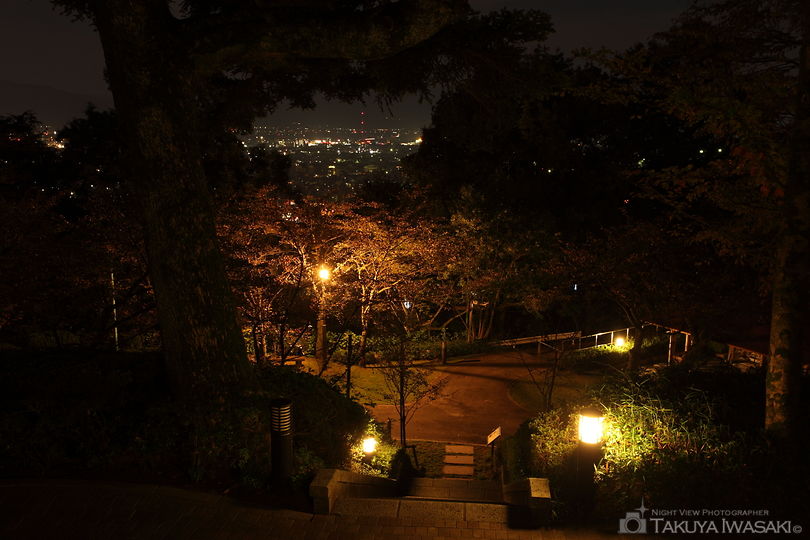 足羽山の夜景スポット写真（1）