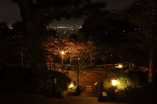 足羽山の夜景スポット写真（1）class=