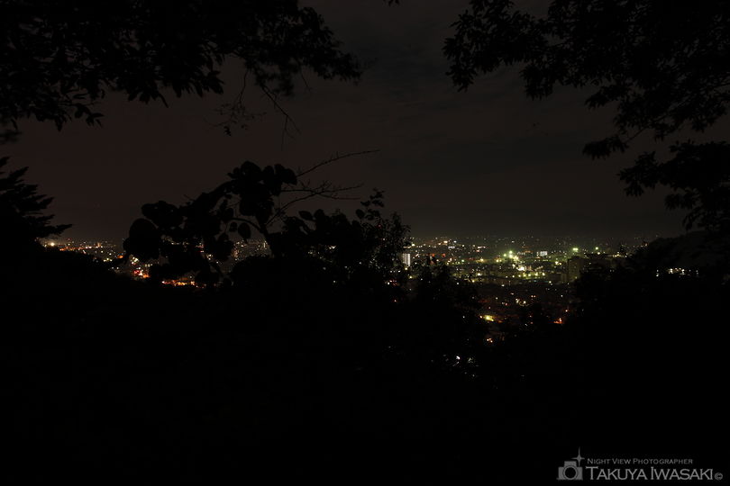 足羽山の夜景スポット写真（4）