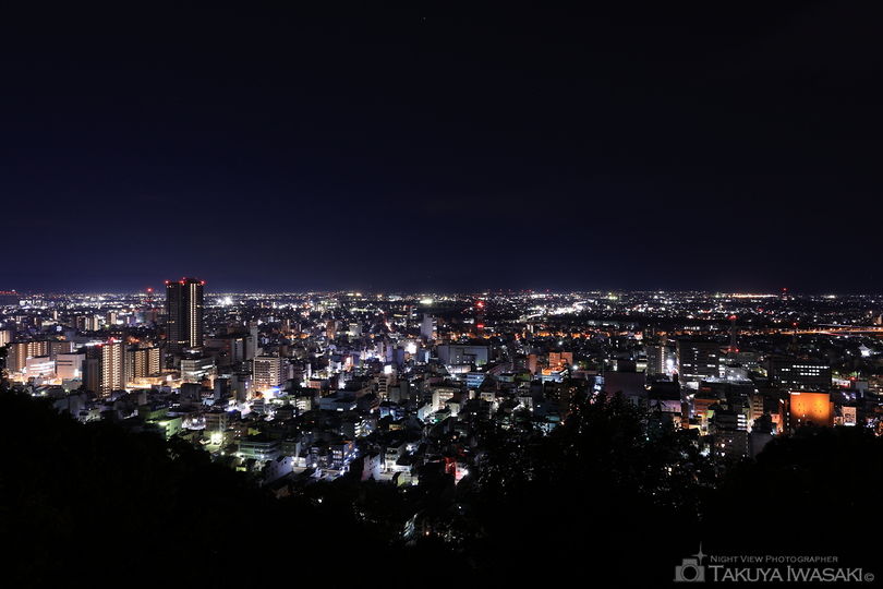 金華山 展望公園の夜景スポット写真（1）