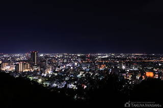 金華山 展望公園の夜景