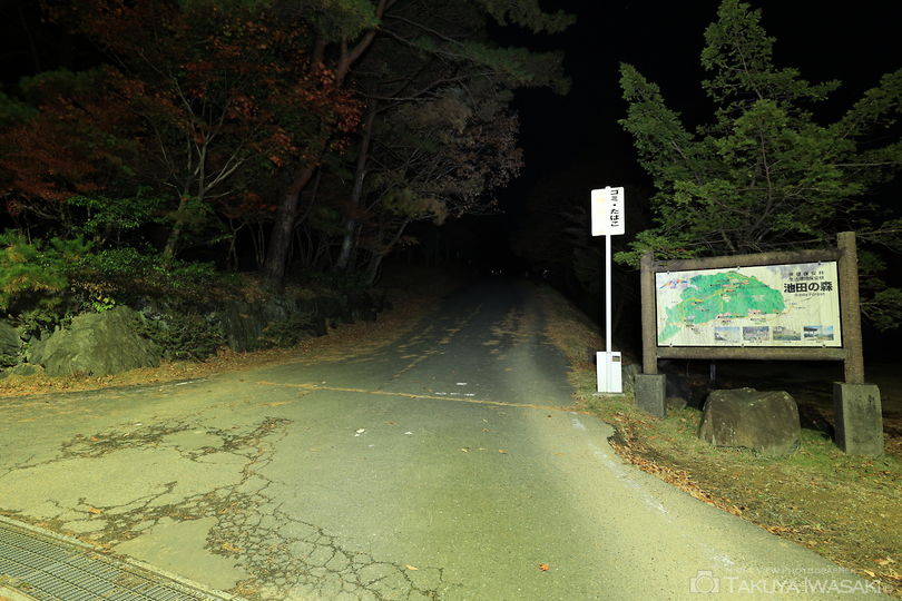 池田山の夜景スポット写真（5）