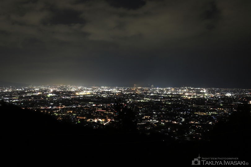 岩本山公園の夜景スポット写真（1）