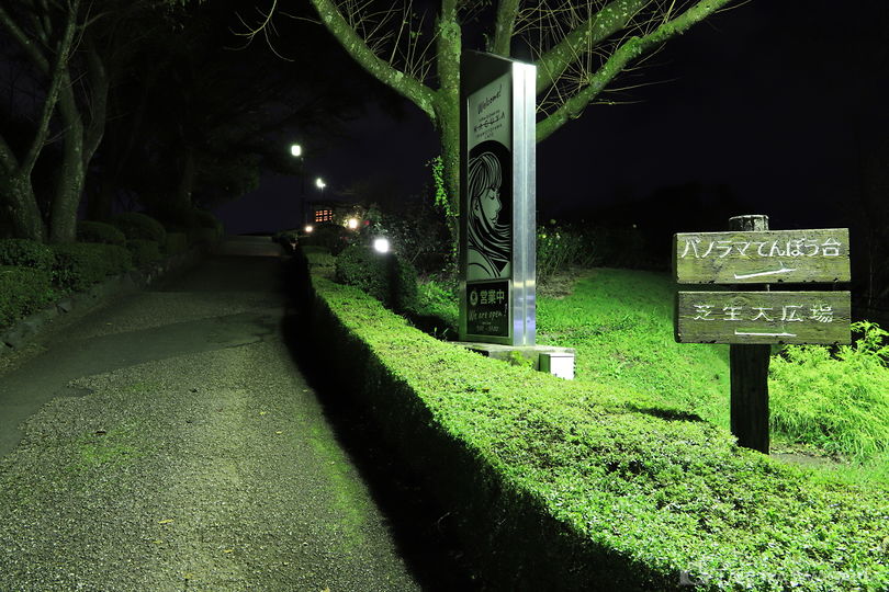 岩本山公園の夜景スポット写真（6）