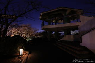 日本平 東展望台の夜景スポット写真（4）class=