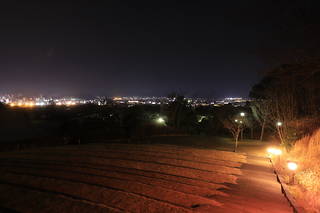 丘の階段と静岡市内の夜景