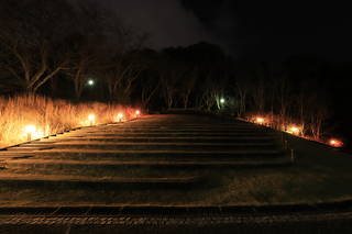 ロダンの丘の夜景スポット写真（4）class=