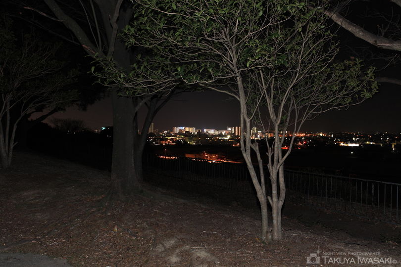 滝ヶ谷公園の夜景スポット写真（2）