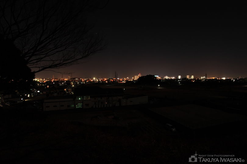 御子ヶ谷公園の夜景スポット写真（2）