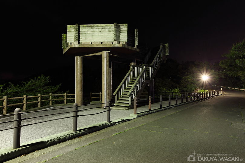 金剛寺本堂前の夜景スポット写真（3）